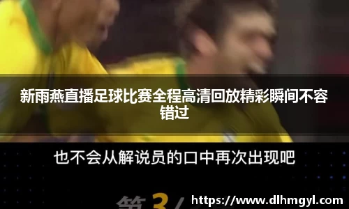 新雨燕直播足球比赛全程高清回放精彩瞬间不容错过