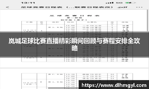 岚城足球比赛直播精彩瞬间回顾与赛程安排全攻略