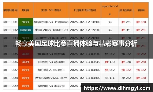 畅享美国足球比赛直播体验与精彩赛事分析