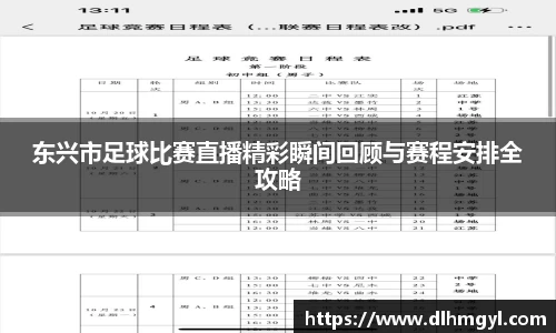 东兴市足球比赛直播精彩瞬间回顾与赛程安排全攻略