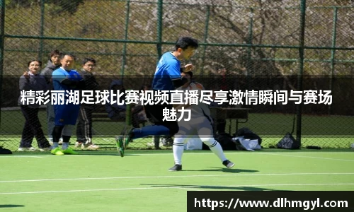 精彩丽湖足球比赛视频直播尽享激情瞬间与赛场魅力