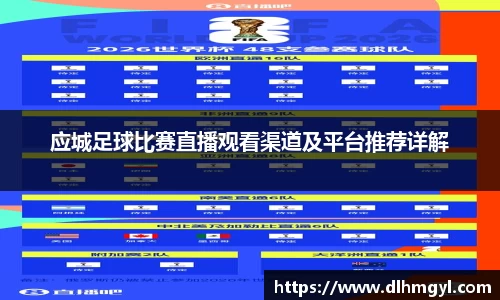 应城足球比赛直播观看渠道及平台推荐详解