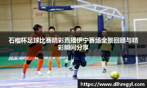 石榴杯足球比赛精彩直播伊宁赛场全景回顾与精彩瞬间分享
